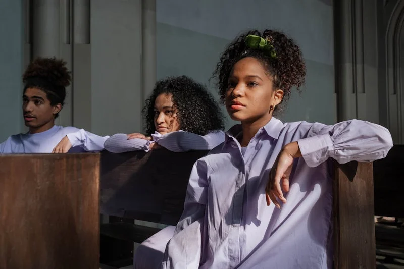 Representasi visual saka anggota